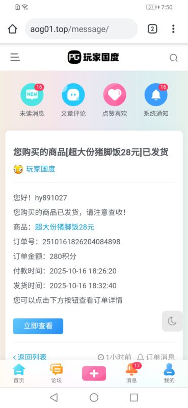 超大份猪脚饭28香-玩家国度