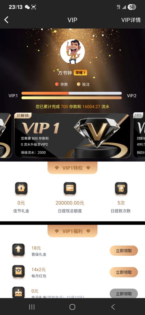 Screenshot_20251115_231335