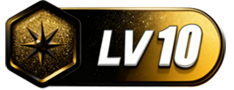 等级-LV10-玩家国度